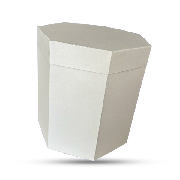 Hexagon Shape (small)